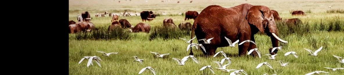 6-Day Western Corrido Grumet Safari