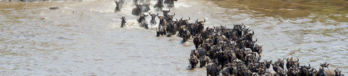 7-Day Kenya & Tanzania Budget Tour