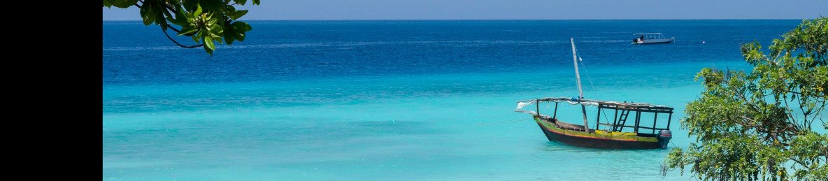 1-Day Luxury Private Boat Safari Nungwi - Saadani Park
