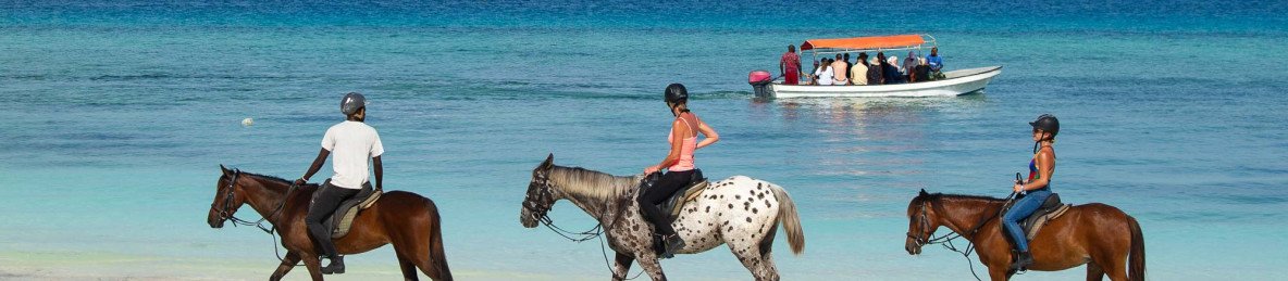 17-Day Luxury from Wild Savannahs to Coastal Opulence