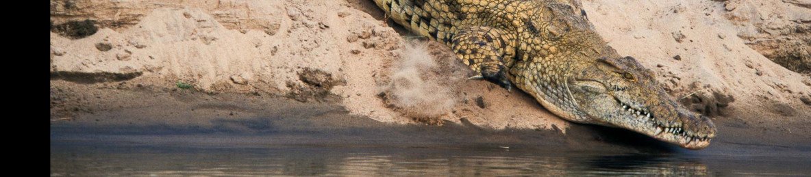 7-Day Best Safari Tanzania Iconic Parks Private Budget