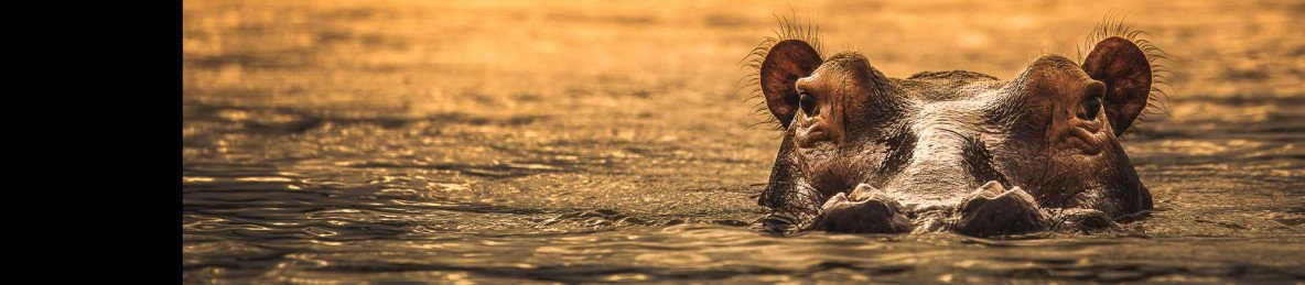 5-Day Nyerere National Park or Selouse Game Resrve