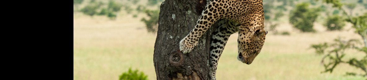 2-Day Safari to Tarangire NP & Manyara NP from Zanzibar