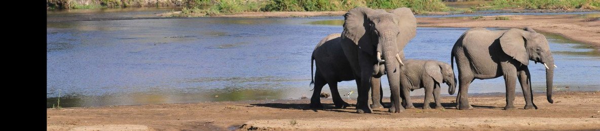 5-Day Experience 3 of the Best Park in Tanzania
