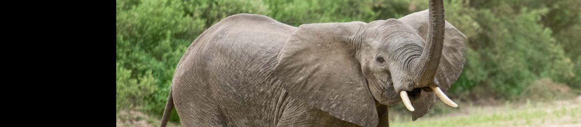 3-Day Exciting Tarangire, Ngorongoro & Manyara Adventure