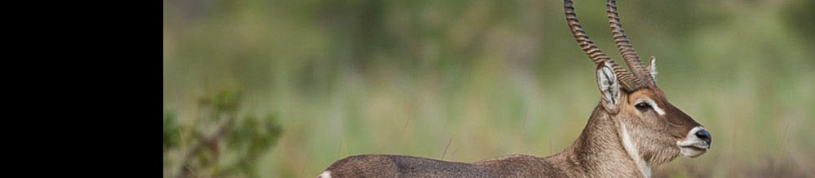4-Day The Ultimate Northen Ciruit Safari