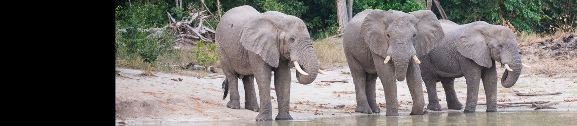 12-Day Kenya & Tanzania Budget Group Sharing Safari
