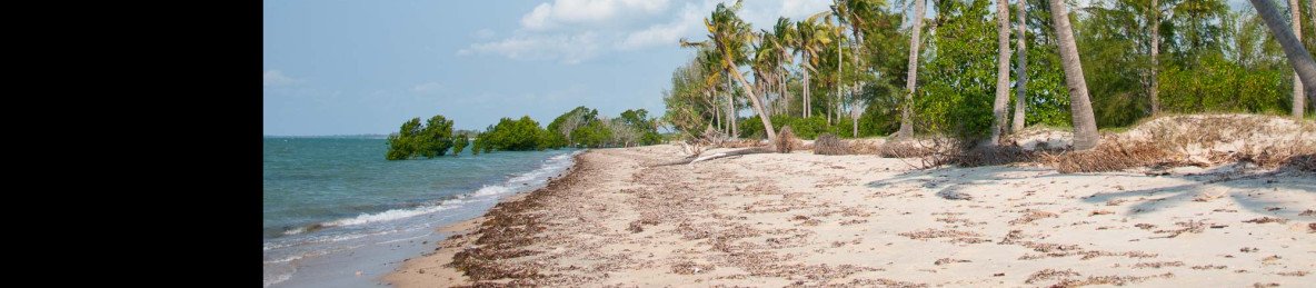1-Day Saadan National Park from Dar Es Salaam
