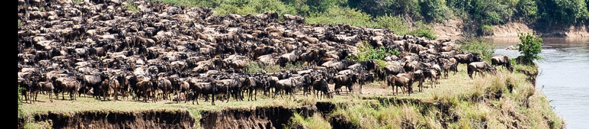 7-Day Best Great Migration Safari and Tour