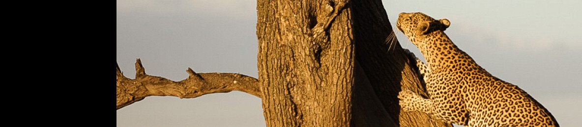 3-Day Nyerere NP (Game Drive, Boat and Walking Safari)