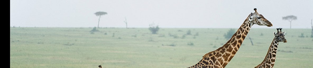 4-Day Beauty of Tarangire, Serengeti and Ngorongoro