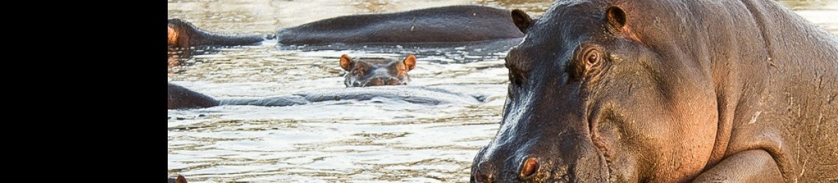 12-Day Uganda, Rwanda & Tanzania Safari Expedition