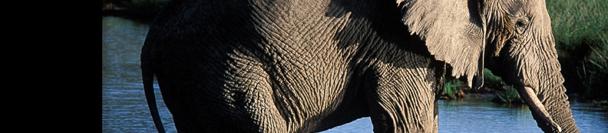 12-Day Ultimate Tanzania - Unforgettable Wildlife Safari