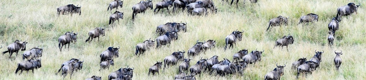 6-Day Active Safari with Empakai Hiking