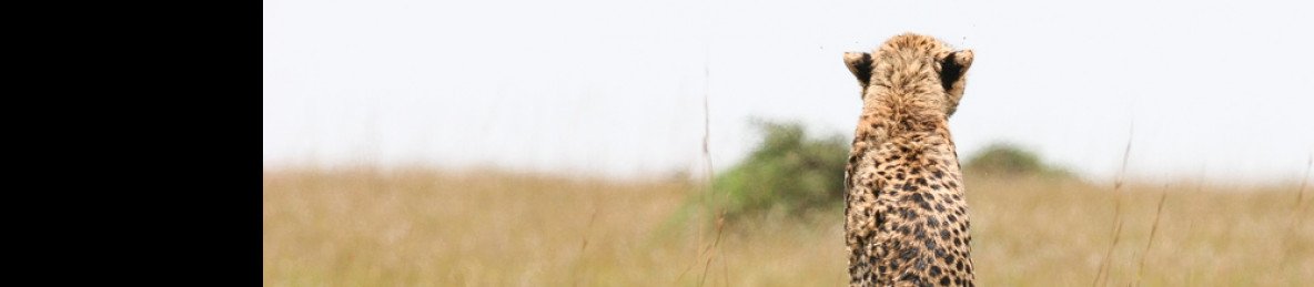 5-Day Arusha NP, Tarangire, Serengeti, Ngorongoro Luxury
