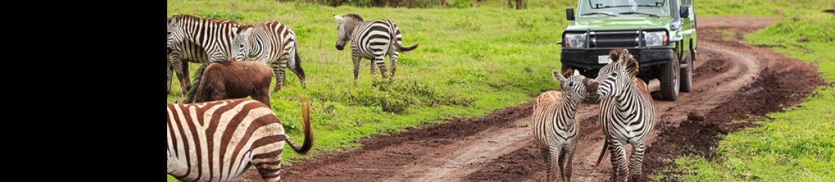 7-Day Serengeti, Hadzabe Cultural Experience & Balloon