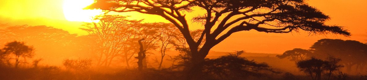 1-Day Mwanza to Serengeti National Park Genuine Safari