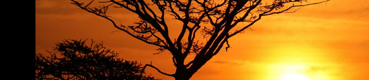 4-Day Nairobi to Serengeti Cross-Border Wildlife Safari