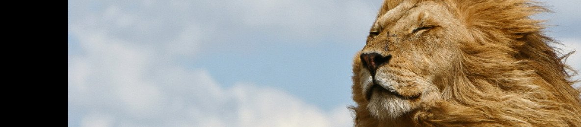 3-Day Big Five Safari from Dar Es Salaam