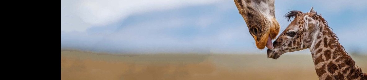 4-Day Explore Northern Circuits National Parks Fly-in