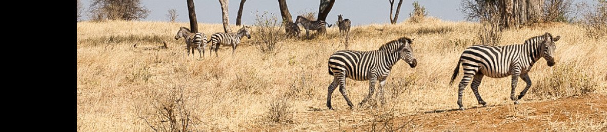 12-Day Tanzania and Kenya Adventure Safari - Midrange