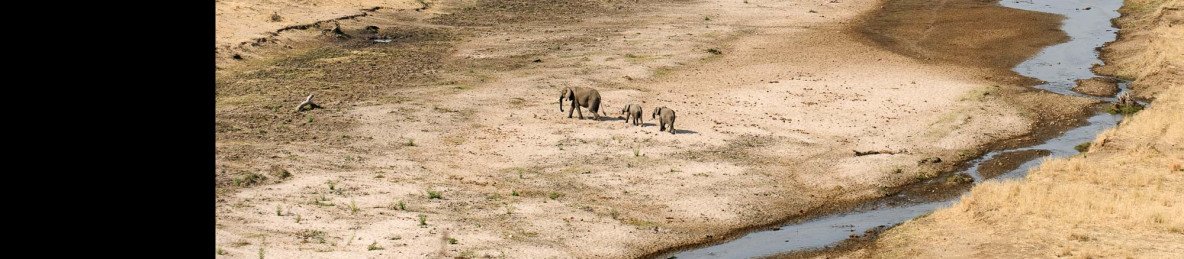 2-Day Midrange Tarangire & Lake Manyara