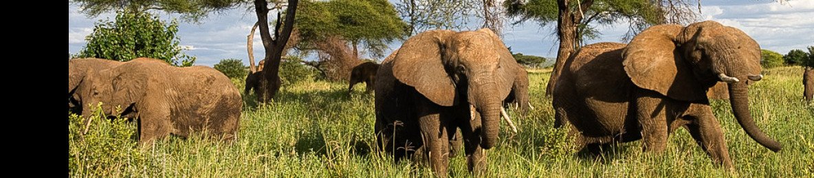 14-Day Primates and Wildlife and Cultural Tour