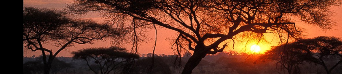 5-Day Ultra Luxury Fly-in Serengeti with Meliá Lodges
