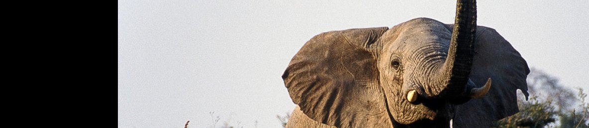 4-Day Budget Safari in Tarangire, Serengeti & Ngorongoro