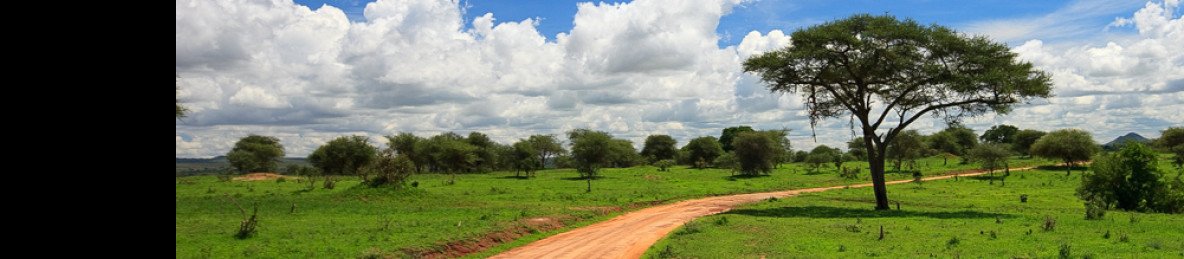 1-Day Group Tour Tarangire Wildlife Tour