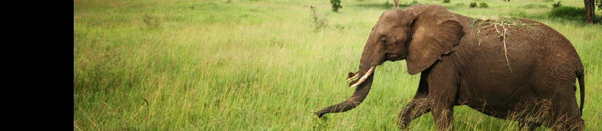 2-Day Zanzibar to Tarangire & Ngorongoro Crater