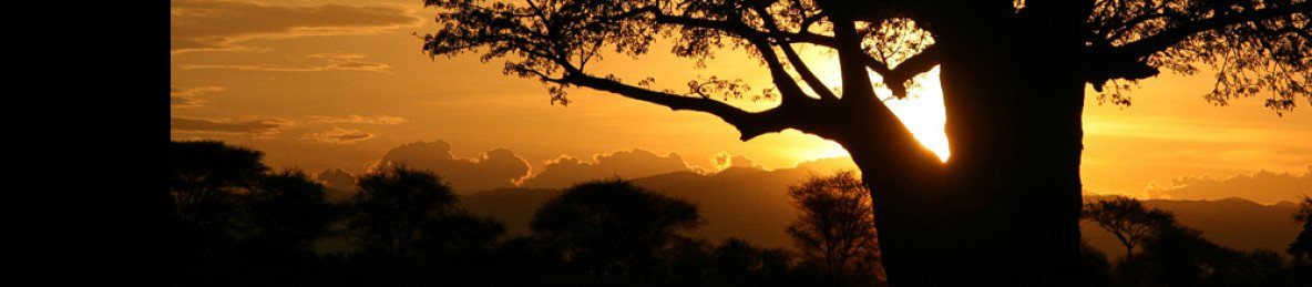 1-Day Tarangire National Park Full Game Drive