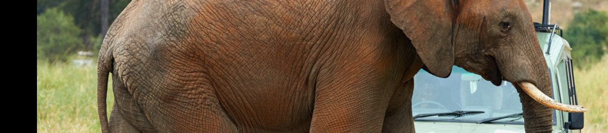 3-Day Comfort Safari at Tarangire, Ngorongoro & Manyara
