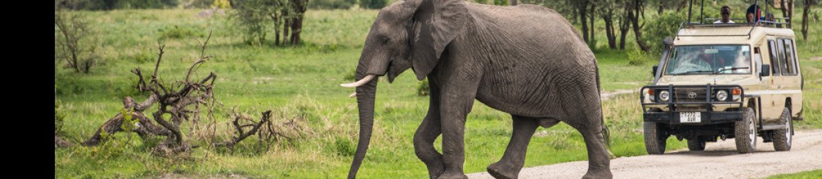 1-Day Daydream Journey to Mikumi National Park by Sgr