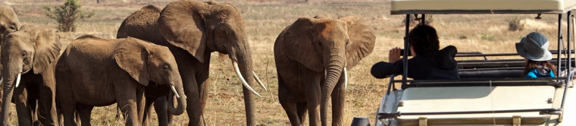 10-Day Best of Tanzania Safari & Zanzibar Beach