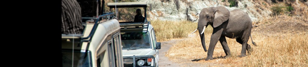 3-Day Marvelous Safari Serengeti & Ngorongoro Crater