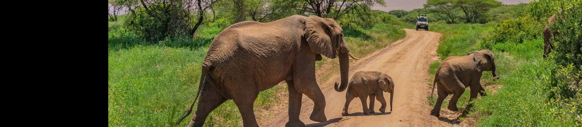 1-Day Escurssion Tarangire National Park