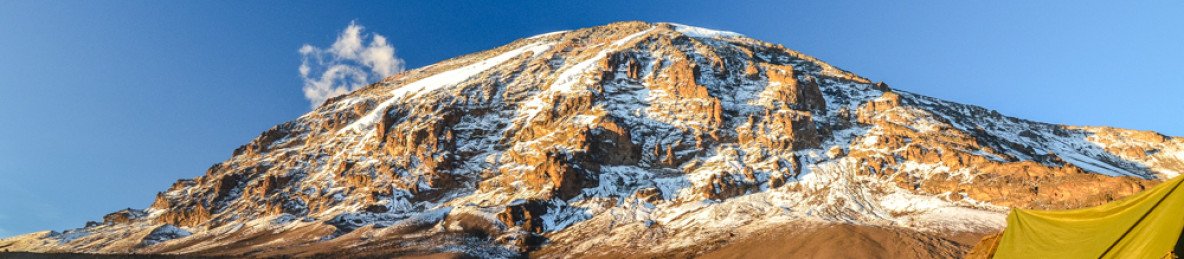 1-Day Kilimanjaro Hike Tour