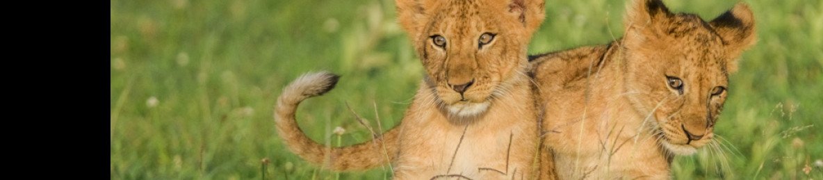 12-Day Tanzania Safari – Photographers & Nature Lovers