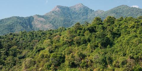 TANAPA Mahale Rest House Budget guest house inside Mahale Mountains NP – Lunch & Dinner Included