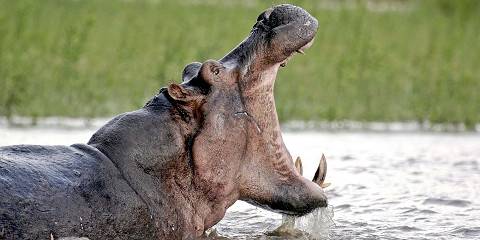 Budget camping Just outside Lake Manyara NP – All Meals Included