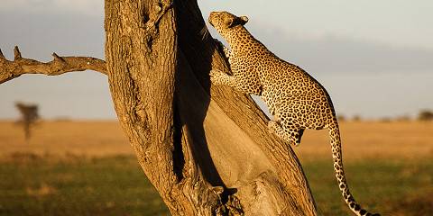 Budget camping Outside Tarangire NP – All Meals Included