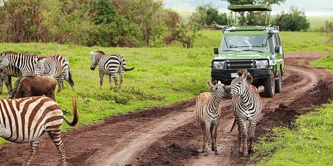 Budget camping Outside Tarangire NP – Lunch & Dinner Included