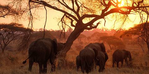 Budget camping Outside Tarangire NP – Lunch & Dinner Included