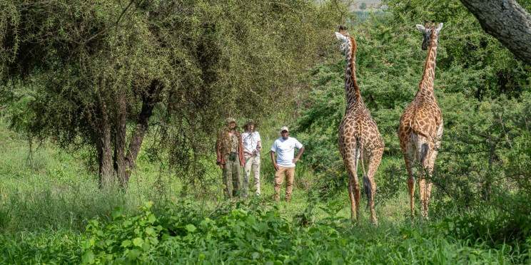 2-Day Ultimate Safari Experience