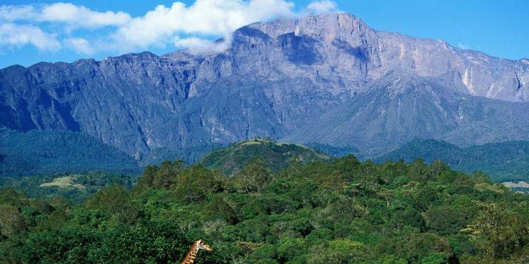 4-Day Tarangire, Serengeti, Ngorongoro & Mto Wa Mbu Tour