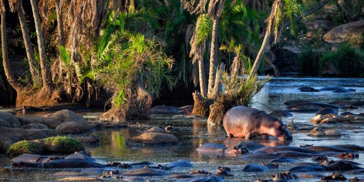 6-Day Serengeti, Ngorongoro, Tarangire & Manyara Private