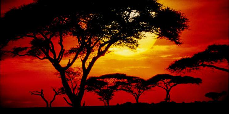 3-Day Safari Taster Serengeti and Ngorongoro