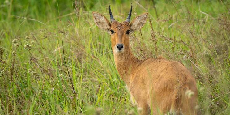 3-Day Best Materun Waterfalls, Tarangire & Ngorongoro NP