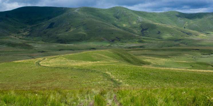 11-Day Explore More, Spend Less, Mara to Serengeti Tour